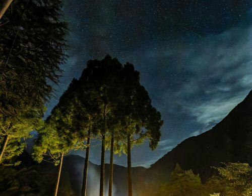 満天の星と森に抱かれる夜｜一棟貸しヴィラ