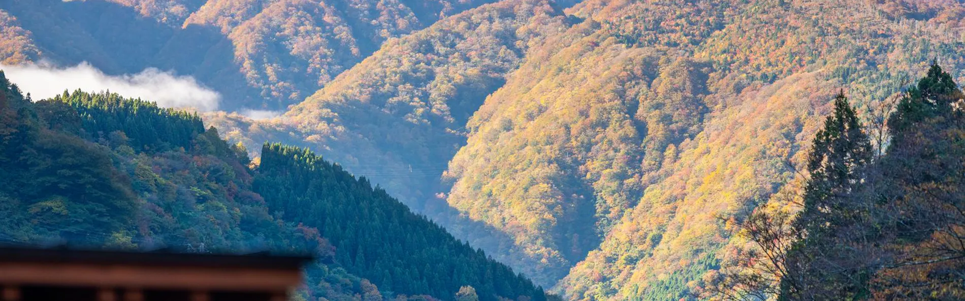 水杜のすみか 大野屋