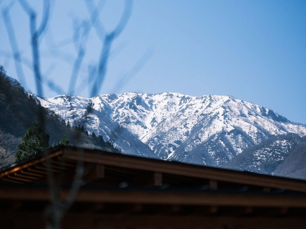 水杜のすみか 大野屋