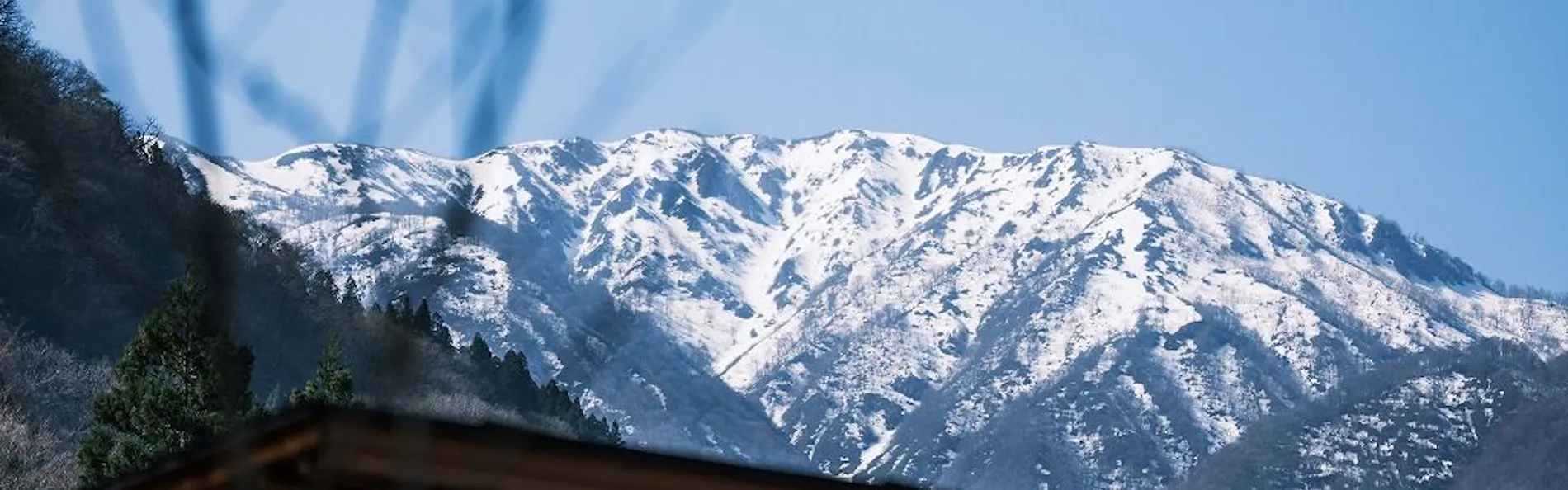 水杜のすみか 大野屋