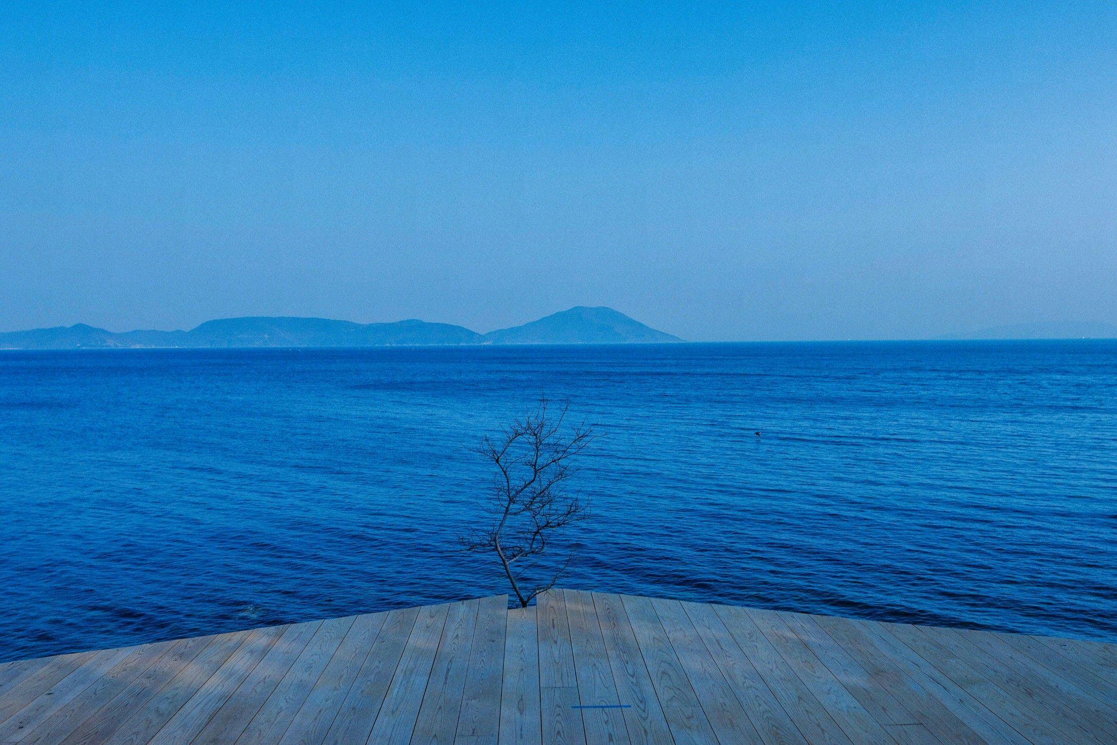 千年オリーブテラス for your wellness 「The STAY」