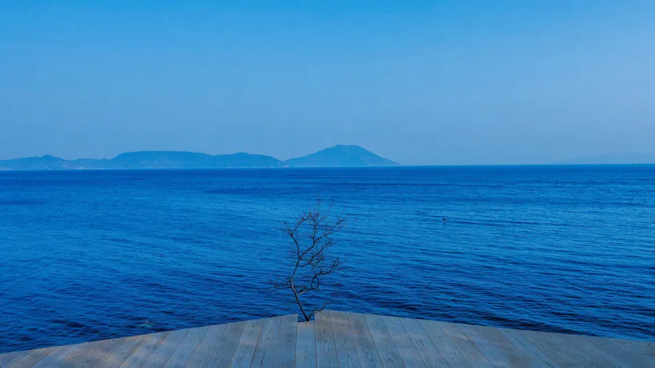 Millennium Olive Terrace for your wellness "The STAY"