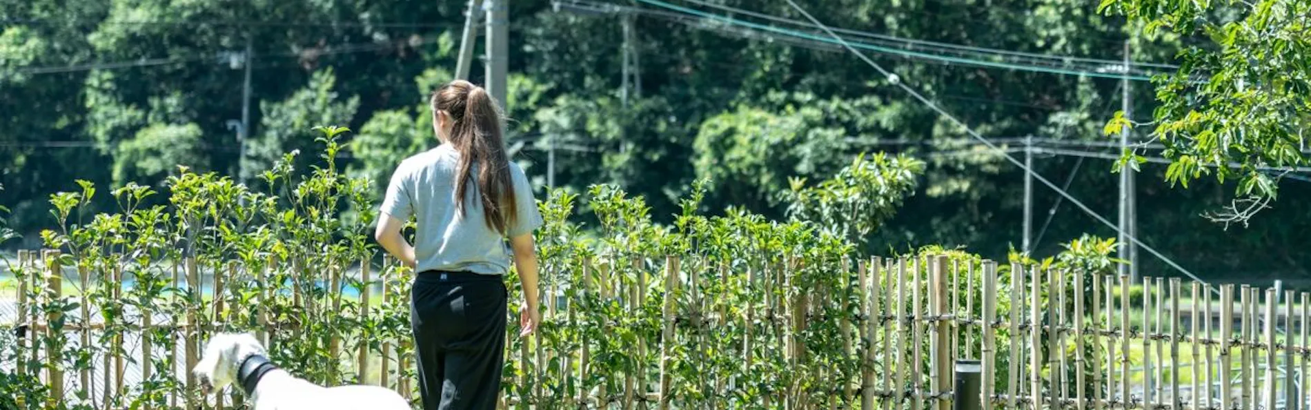 NIPPONIA 美山鶴ヶ岡 山の郷