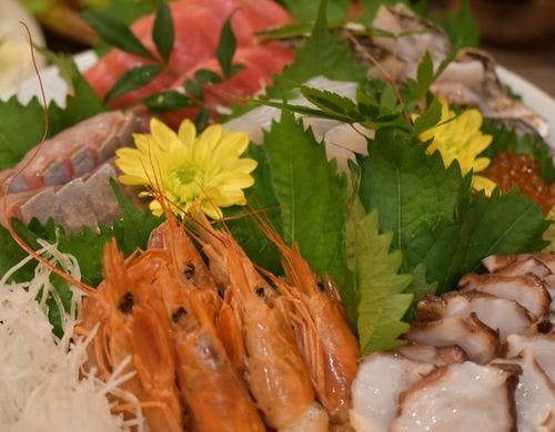 相模湾自慢の新鮮なお刺身