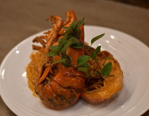 洋食コース　パスタ例