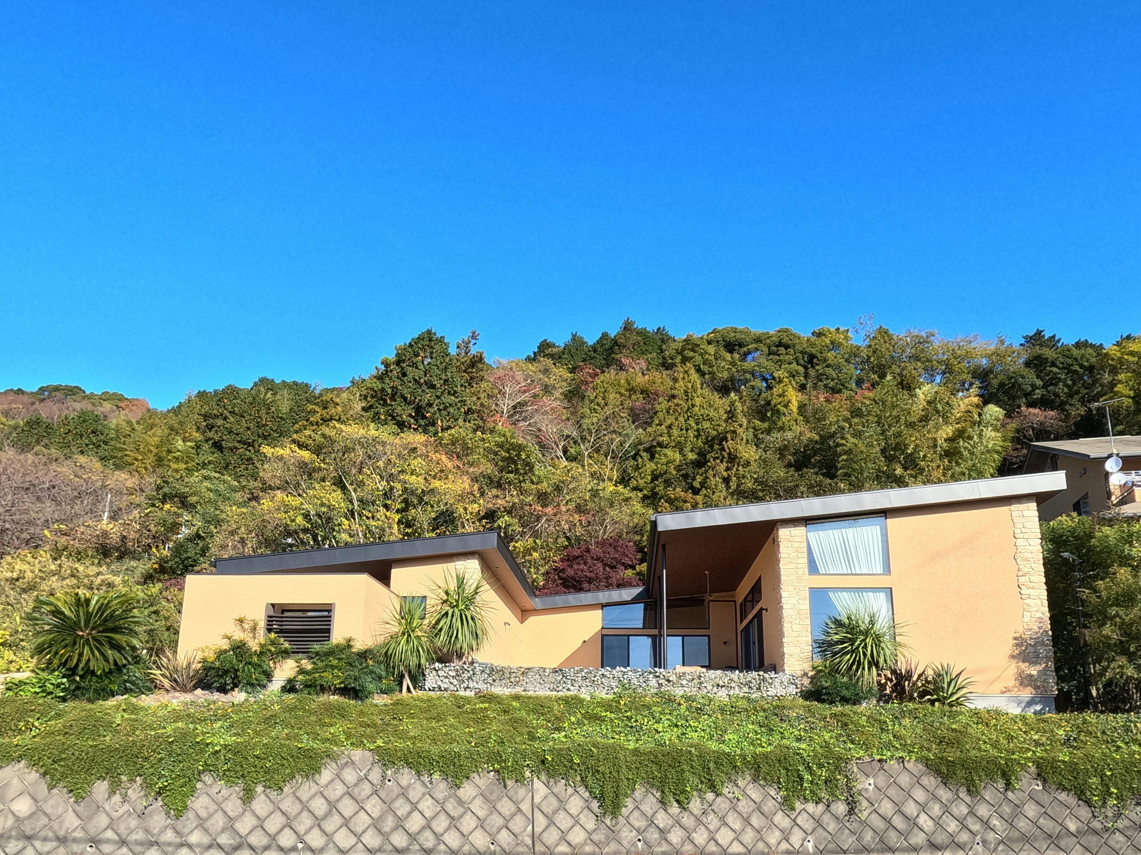 南国リゾートをイメージ