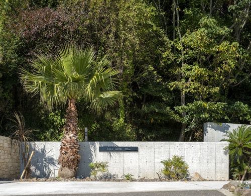 外観　シンボルツリー