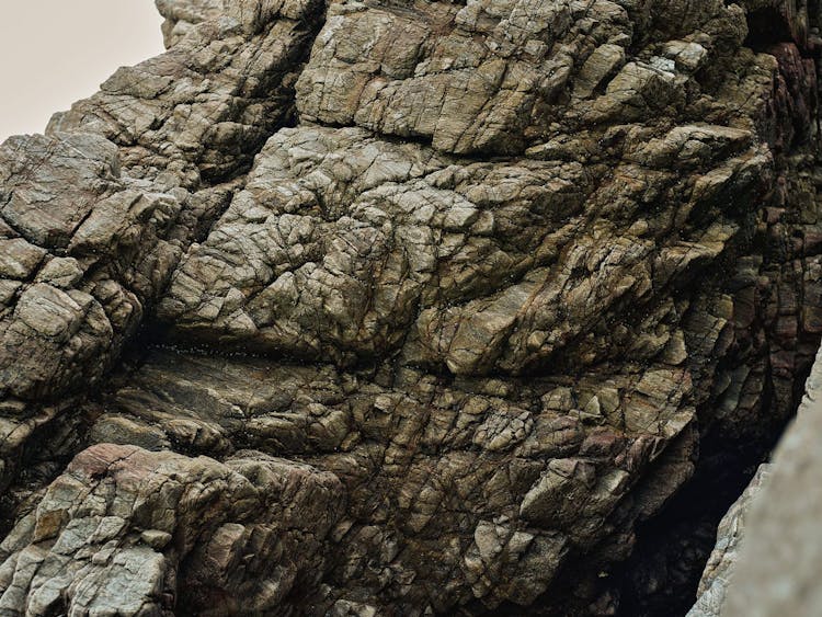 CLIFF（クリフ）のサムネイル画像