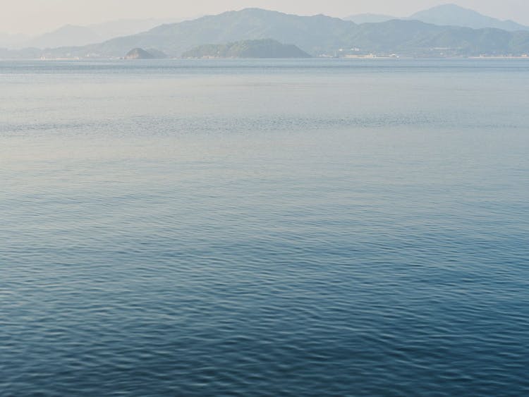 OCEAN（オーシャン）のサムネイル画像