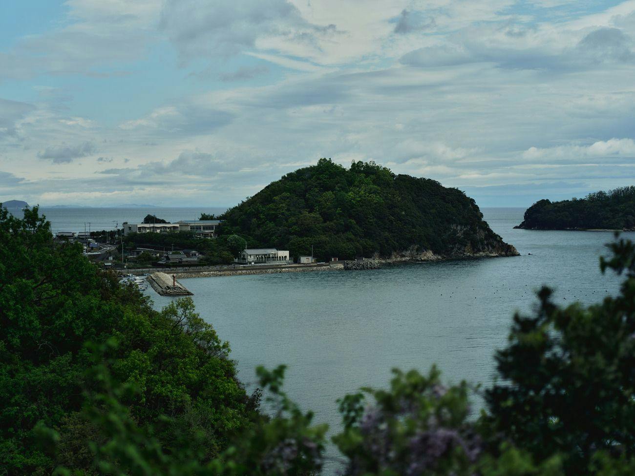 mimoro