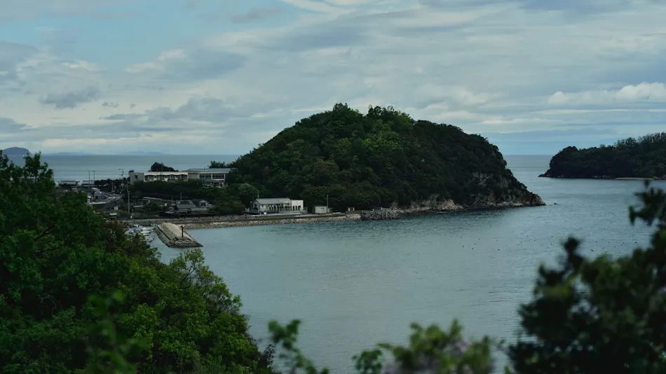 mimoro