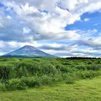 周辺観光 夏の富士山