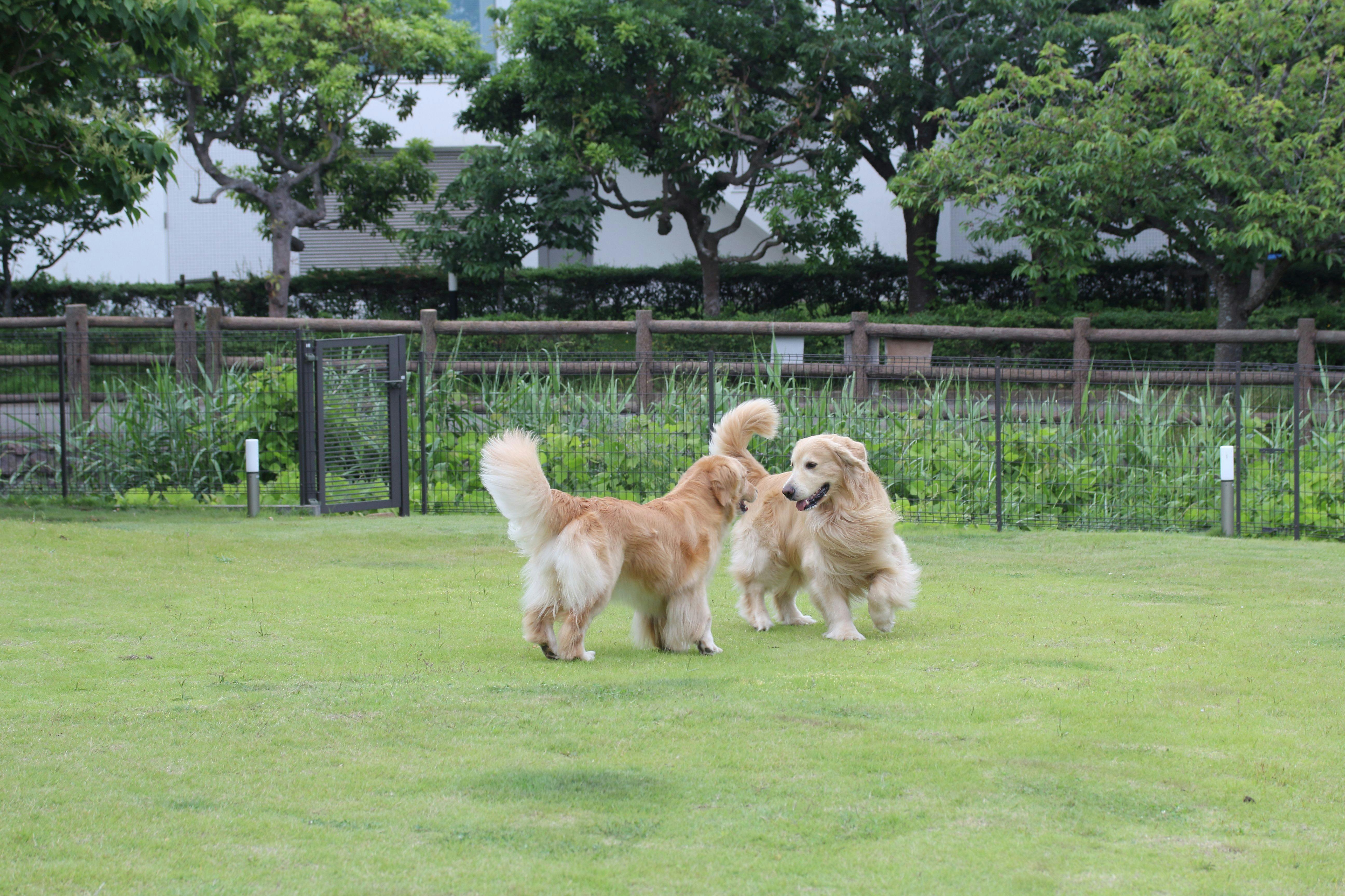 สวนส่วนตัว