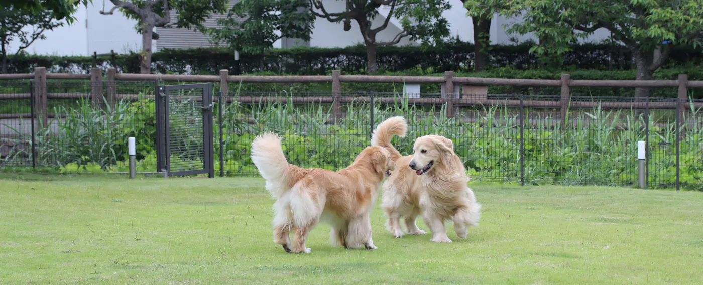 สวนส่วนตัว