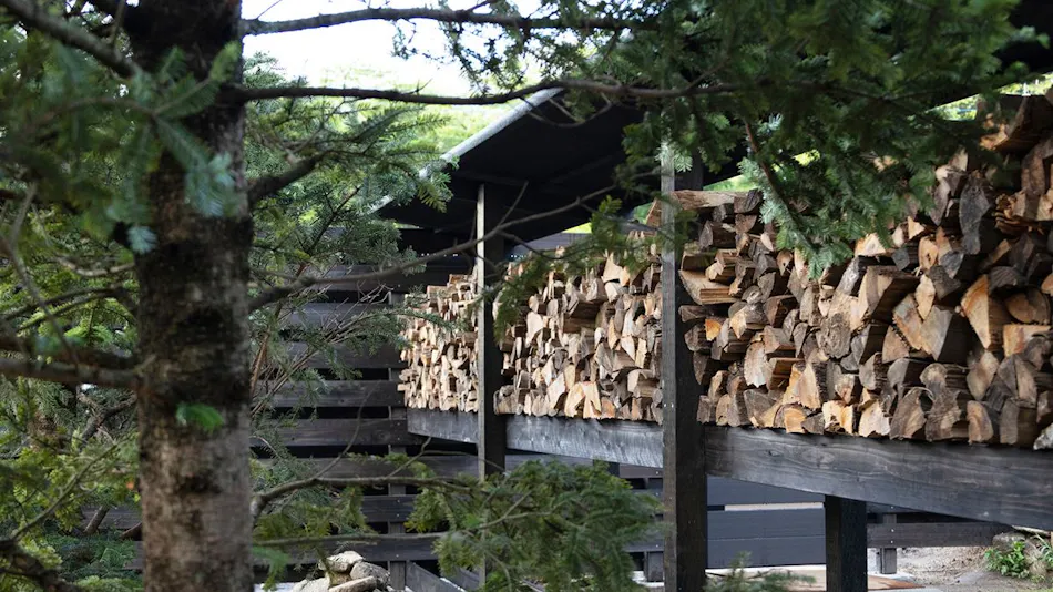 SAUNEA Hakushu