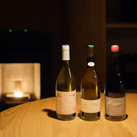 ナチュラルワイン(有料)