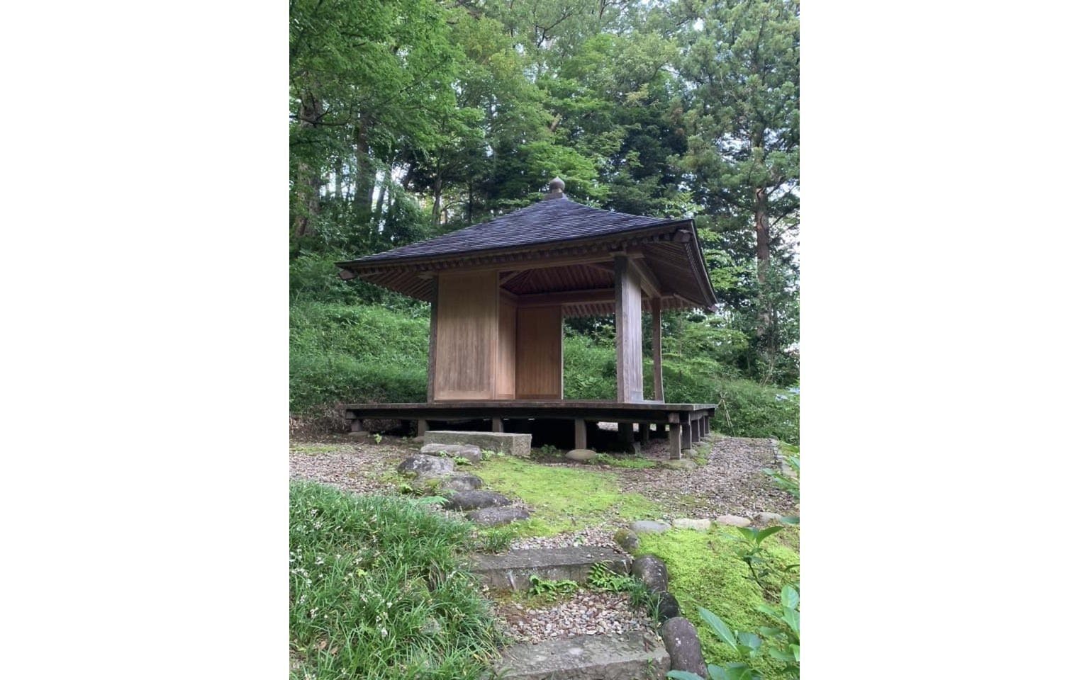 森に佇む静寂の茶室