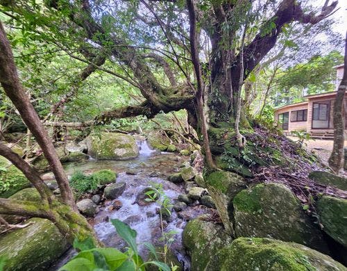 ゆるやかな川に沿うヴィラ