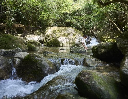 裏庭の川でどんな風に楽しみますか？