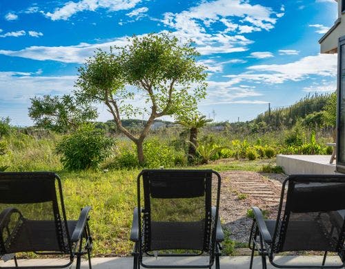 中庭 (整いスペース)