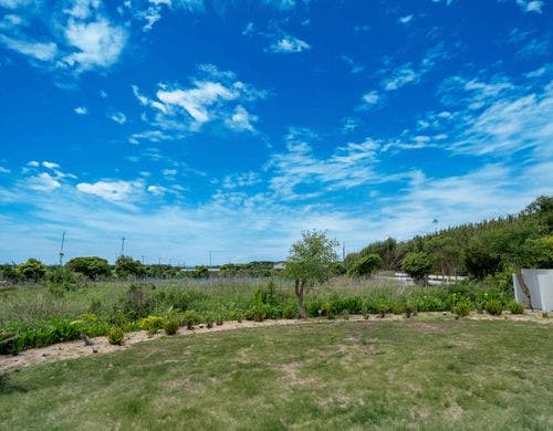 中庭 (ドッグラン)