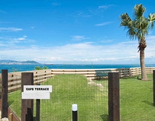 カフェテラス：共用ドッグラン