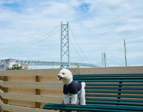 ワンちゃんとの時間をお過ごしいただけます