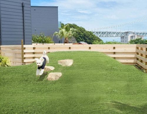 カフェテラス：共用ドッグラン