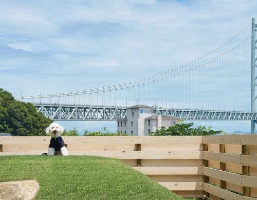 愛犬と、いつも通りに寄り添える旅を