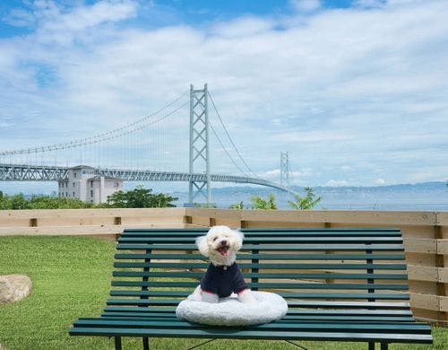 愛犬と、いつも通りに寄り添える旅を