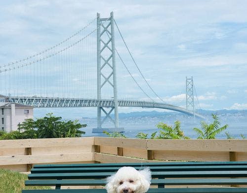 愛犬と、いつも通りに寄り添える旅を