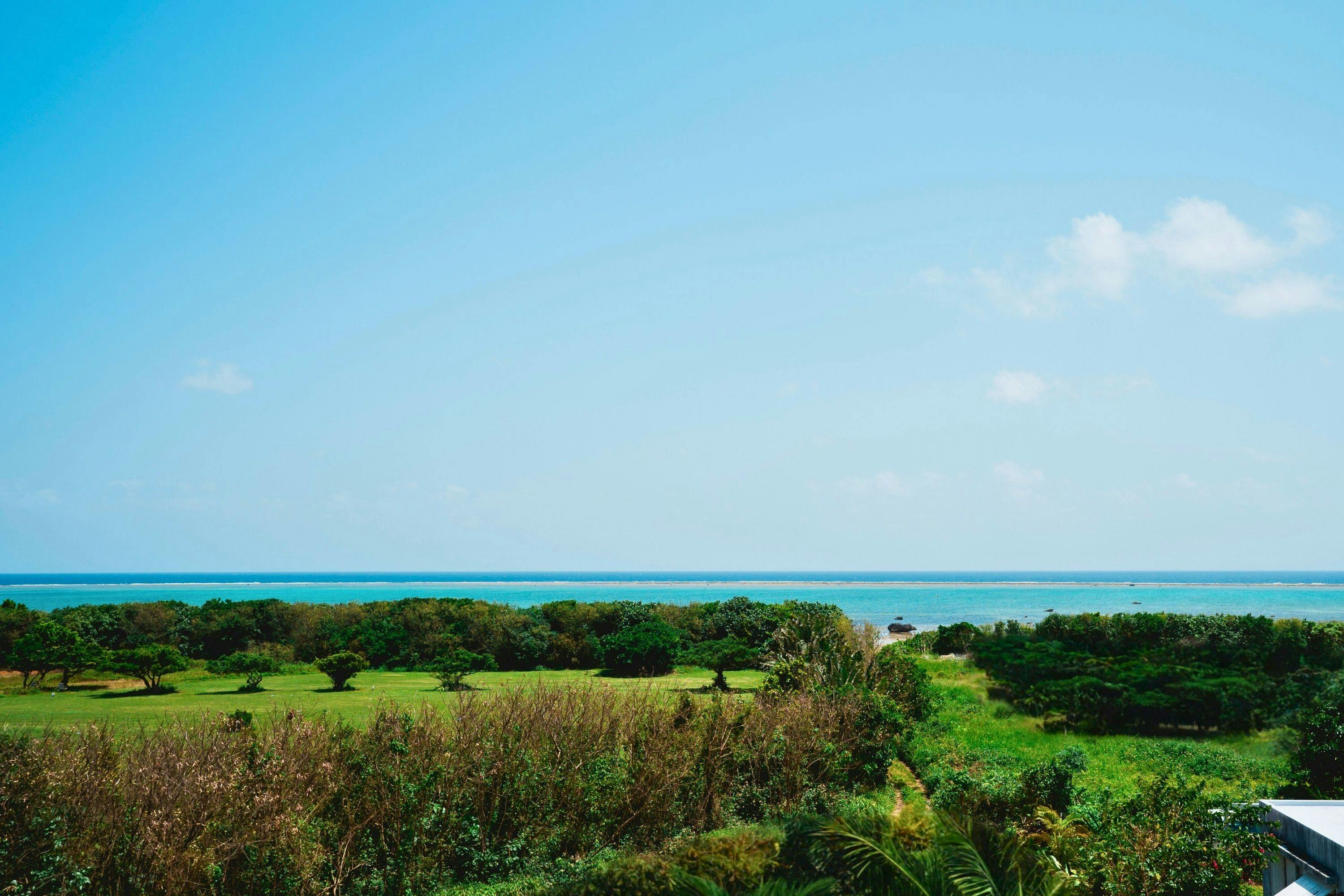 オーシャンビュー景色