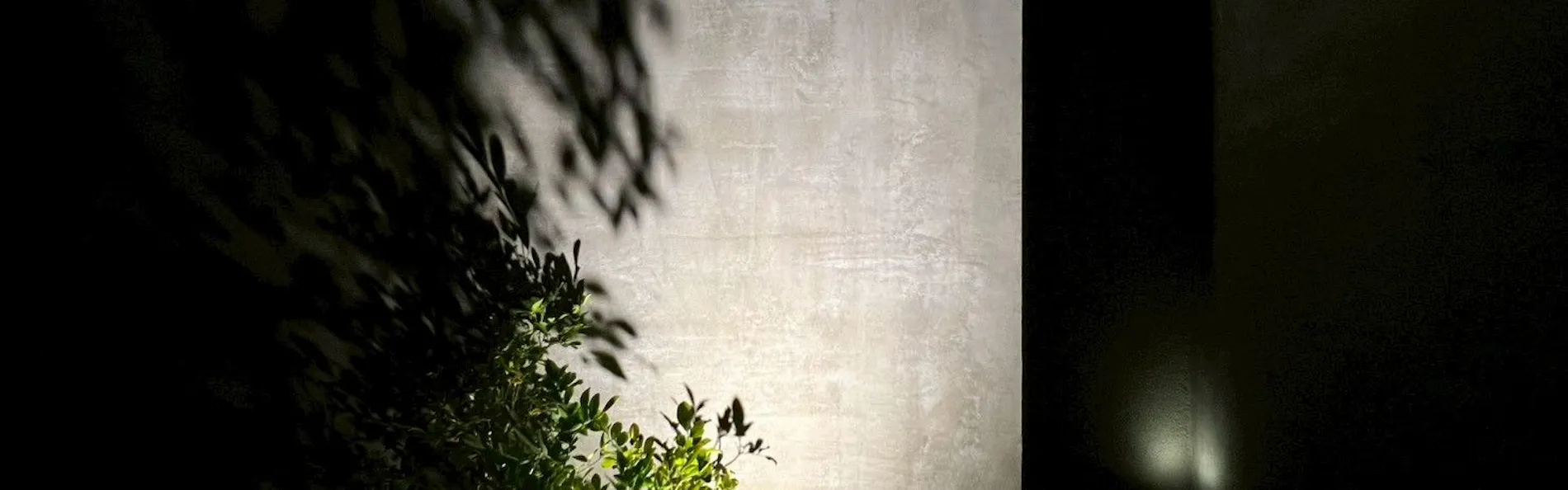 備瀬縁梵 bise-enpu