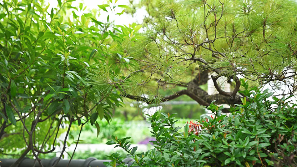 Accommodation "Kyujitsu" in Naha