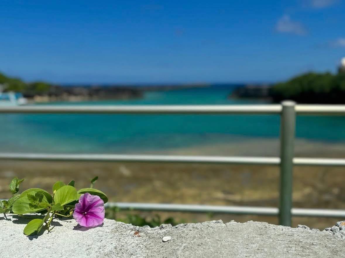 Awal SEASIDE VILLA -アワルシーサイドヴィラ-