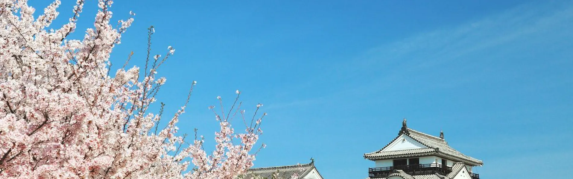 ホテルマイステイズ松山