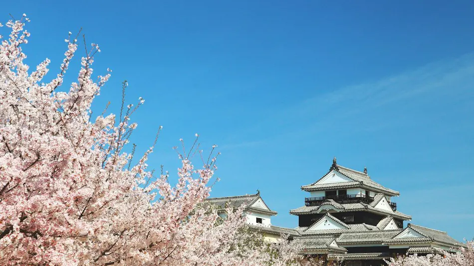Hotel MyStays Matsuyama