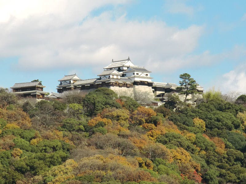 ホテルマイステイズ松山