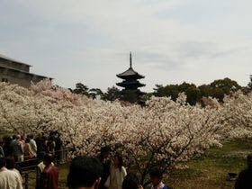 イビススタイルズ京都ステーション