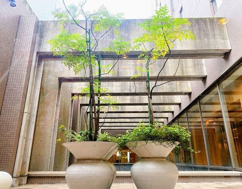 3階ロビー吹き抜け