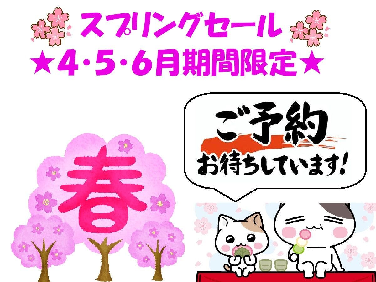 スプリングセール（食事なし）