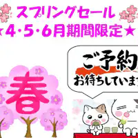 スプリングセール(食事なし)