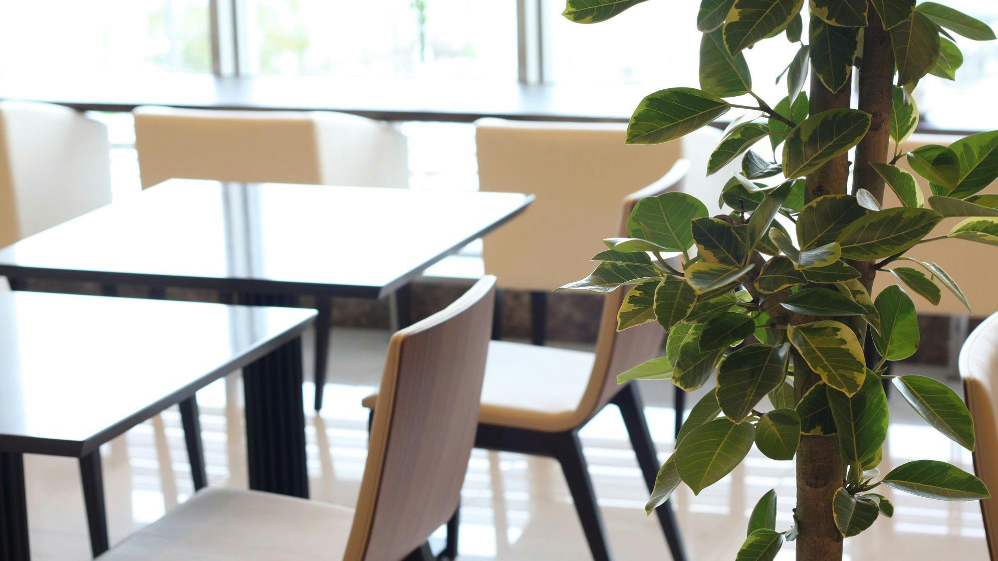 【茶廊：薰衣草】