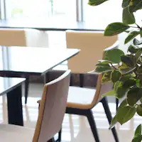 【茶廊:薰衣草】