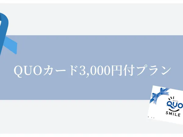QUOカード3,000円付【食事なし】