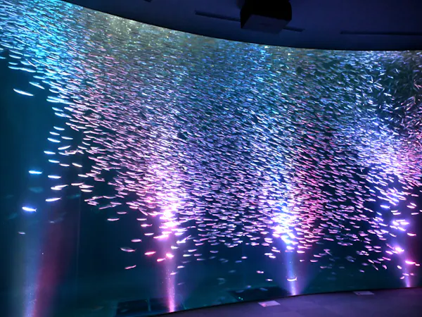 ネット予約限定:名古屋港水族館チケット付きプラン【食事なし】
