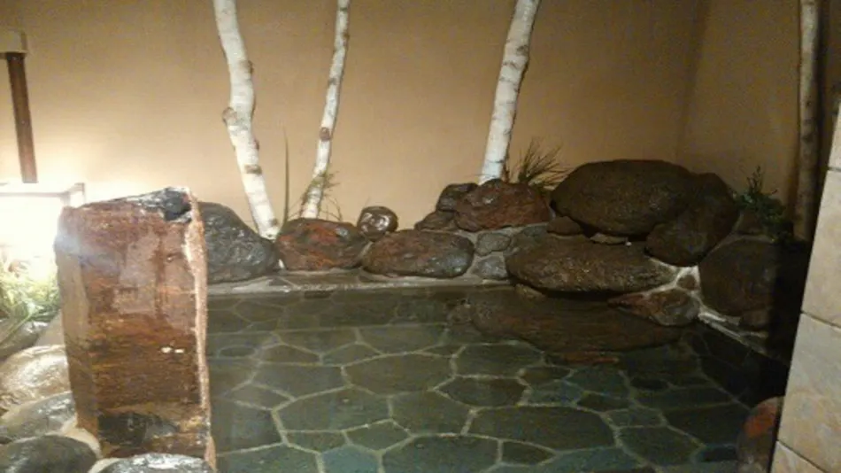 Natural Hot Spring Tendo no Yu Dormy Inn Abashiri