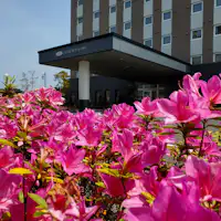 ภายนอกของโรงแรม