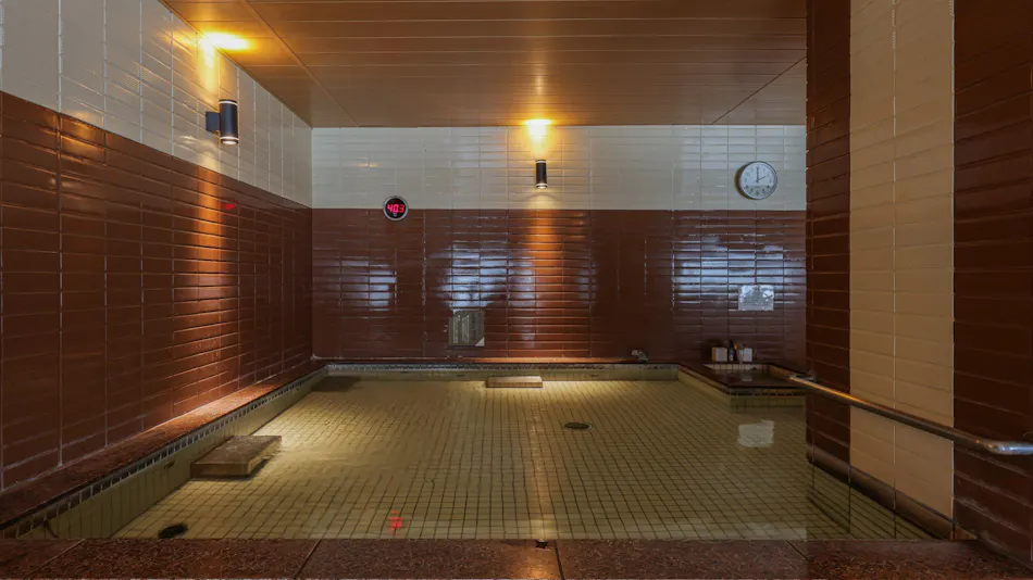 Bayside Hotel Azur Takeshiba Hamamatsucho