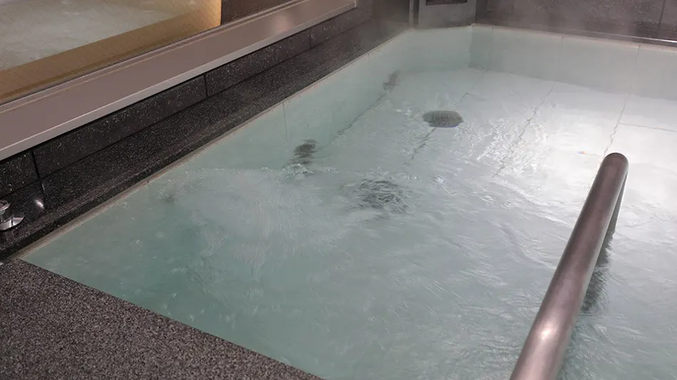Astil Hotel Shin-Osaka Precious